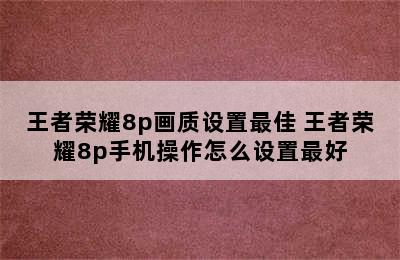 王者荣耀8p画质设置最佳 王者荣耀8p手机操作怎么设置最好